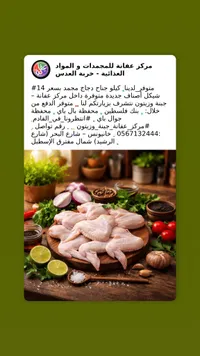 جناح دجاج مجمد - مركز عفانة - سوق غزة