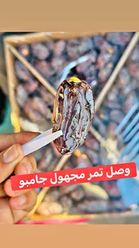 تمر مجهول جامبو