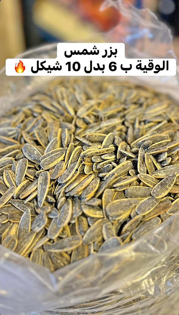 بزر شمسي - الوقية ب 6 بدل 10 شيكل - مواد غذائية وبقالة - سوق غزة