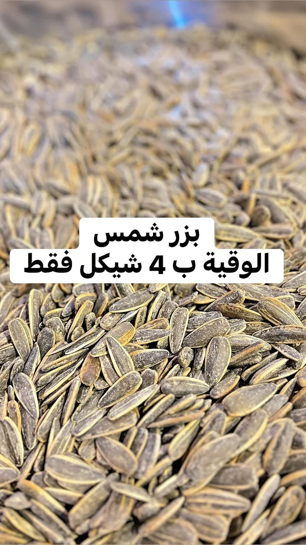 بزر دوار الشمس - مواد غذائية وبقالة - سوق غزة