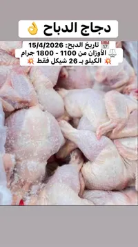 دجاج طازج - الدباح - سوق غزة