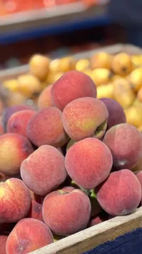 خوخ طازج