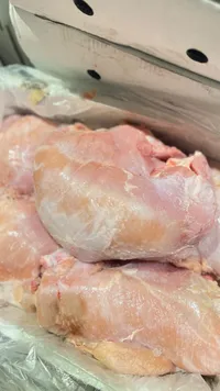 صدور دجاج طازجة