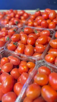 طماطم كرزية