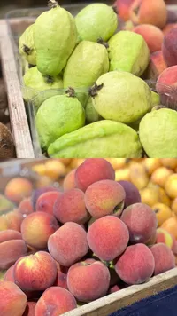جوافة طازجة