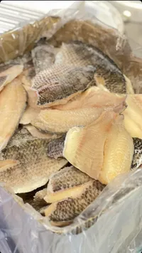 فيليه سمك بلطي مجمد