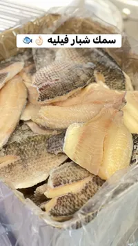 سمك شبار فيليه مجمد