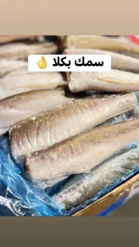سمك بكلا مجمد