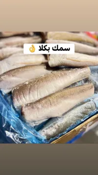 سمك بكلا مجمد
