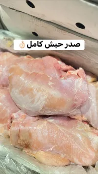 صدر حبش كامل