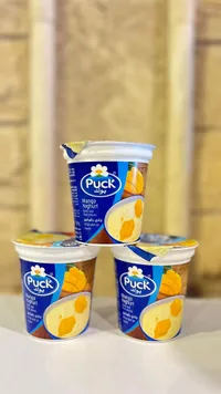 زبادي بالمانجو مع قطع فواكه - بوك (Puck)