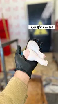 دبوس دجاج مبرد