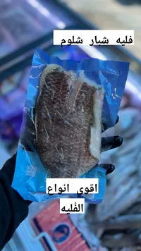 فيليه سمك شبار - شلوم