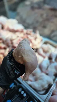 أفخاذ دجاج طازجة