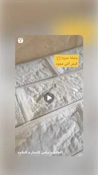 فيش أنثى مجود - العالمية ماس للتجارة العامة