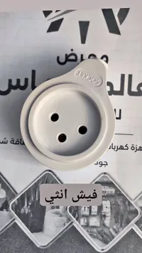 فيش أنثى