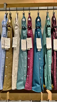 قميص كاجوال بألوان متعددة - شيرتس برو (Shirts Pro)
