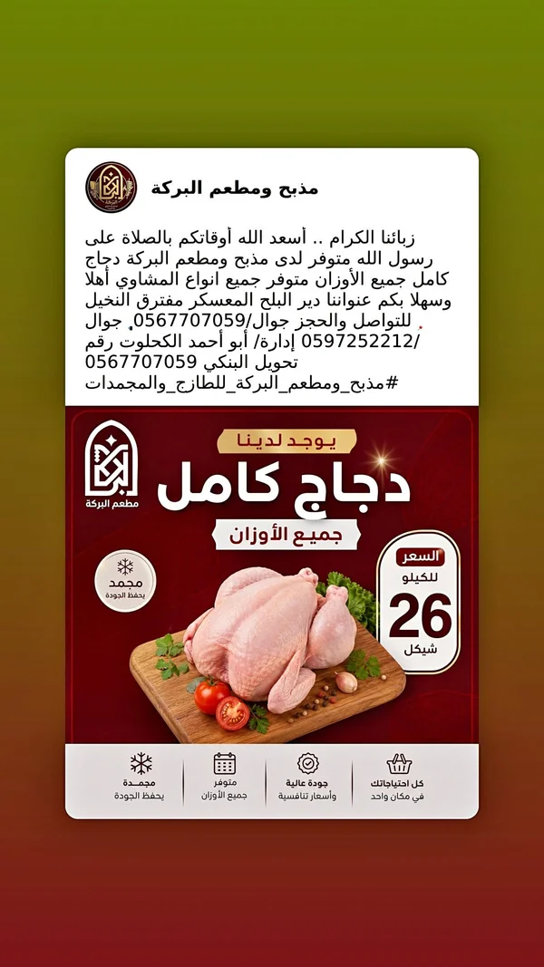 دجاج كامل مجمد - مذبح ومطعم البركة - مواد غذائية وبقالة - سوق غزة