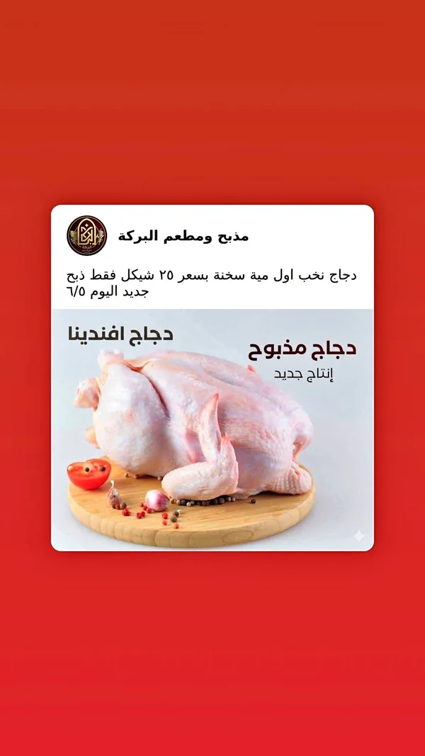 دجاج مذبوح طازج - دجاج افندينا من مذبح ومطعم البركة - مواد غذائية وبقالة - سوق غزة