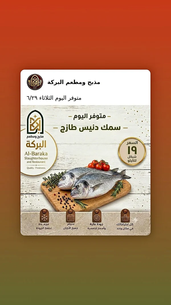 سمك دنيس طازج - مذبح ومطعم البركة - مواد غذائية وبقالة - سوق غزة
