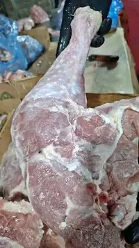 فخذ دجاج طازج