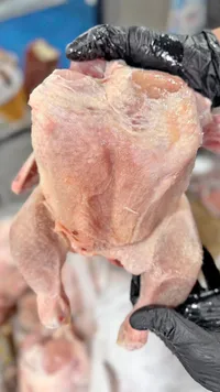 دجاج طازج كامل