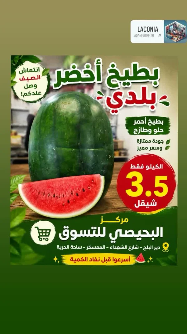بطيخ أخضر بلدي - مركز البحيصي للتسوق - مواد غذائية وبقالة - سوق غزة