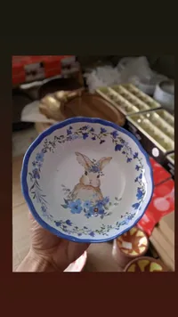 زبدية تقديم سيراميك بنقشة الأرنب والزهور