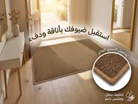 سجادة مدخل عصرية - نسيج فاخر