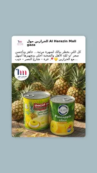 أناناس معلب - شرائح