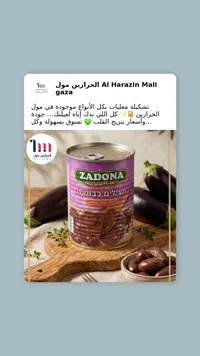 زادونا حبات زيتون بنوشيم Zadona Roasted Pitted Olives