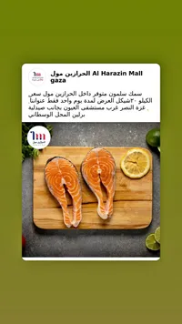 سمك سلمون طازج - الحرازين مول - سوق غزة