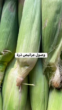 عرانيص ذرة طازجة