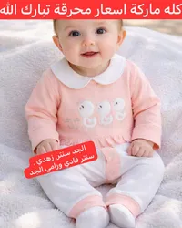 تبان بيبي وردي - ستار زهيدي