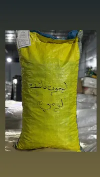 لوز باشت