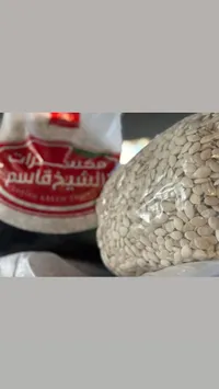 بذور دوار الشمس - الشرقية فلسطين