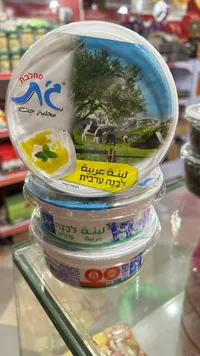 لبنة عربية - تنوفا