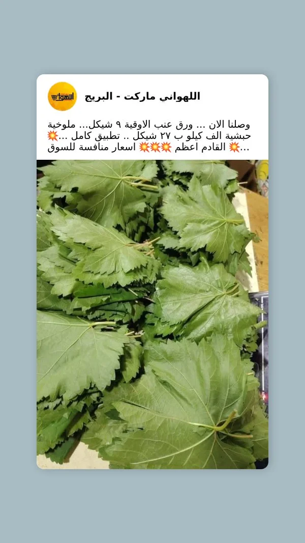 ورق عنب طازج - اللهواني ماركت - مواد غذائية وبقالة - سوق غزة