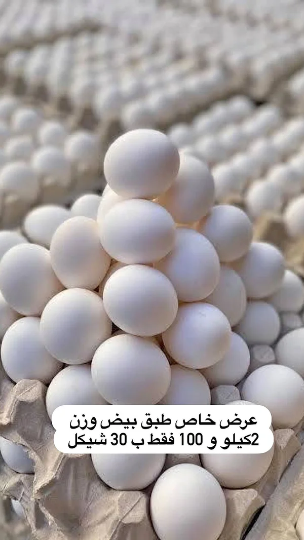 طبق بيض طازج - مواد غذائية وبقالة - سوق غزة