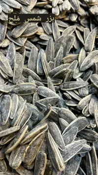 بذور دوار الشمس ملح