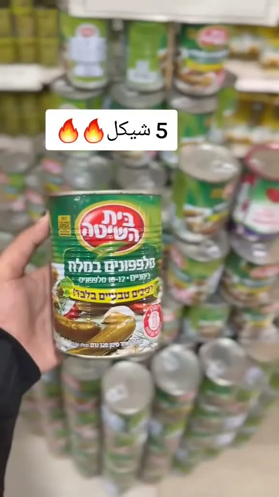 مخلل خيار بالملح - بيت هشيتا (Beit Hashita) - مواد غذائية وبقالة - سوق غزة