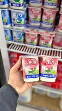 لبن رائب 4.5% دسم - تنوفا (Tnuva)