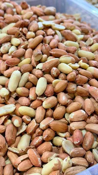 فول سوداني محمص