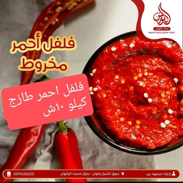 فلفل أحمر مخروط طازج - مطحنة النورس - مواد غذائية وبقالة - سوق غزة