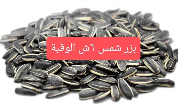بزر عباد الشمس المحمص - مواد غذائية وبقالة - سوق غزة