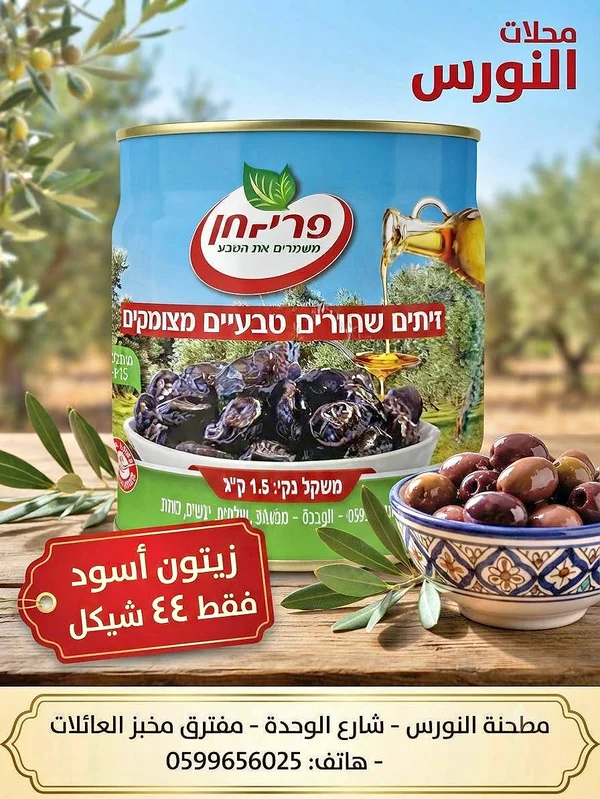 زيتون أسود - النورس - مواد غذائية وبقالة - سوق غزة