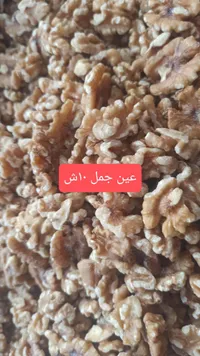 عين جمل - 10 شيكل