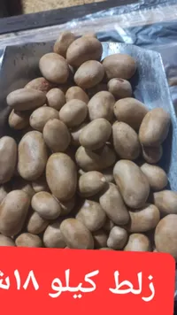 بطاطا - زلط كيلو 1.8