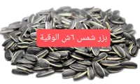 بزر عباد الشمس المحمص - سوق غزة