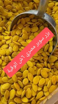 بزر سوبر مصري - سوق غزة